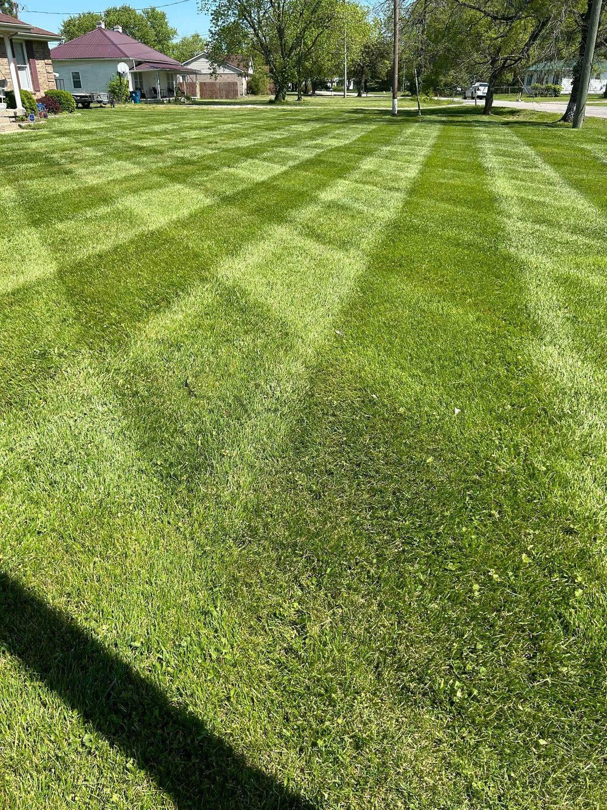 A back lawn cut in a light and dark checkerboard, mowed in two directions across the whole yard.