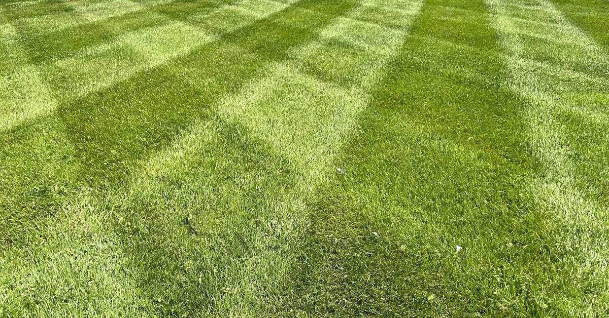 A long strip of striped lawn running down to a road under a wide sky.